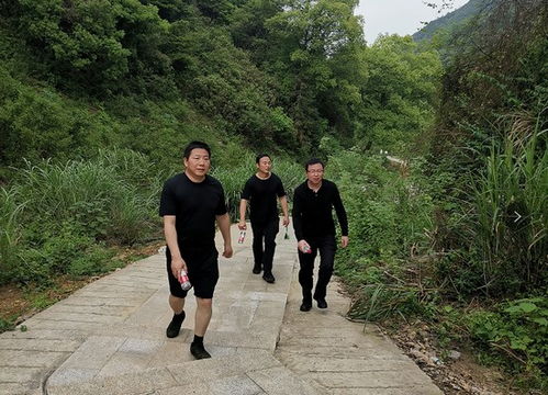 市公安局監管支隊服務中心組織開展體能拓展訓練活動